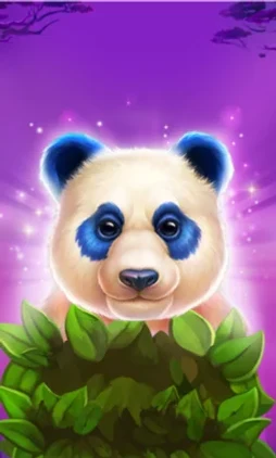 Luck of Panda: Bonus Combo